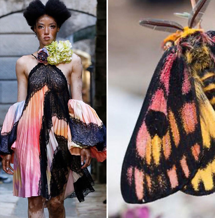 Fashion Often Draws Inspiration From Nature And This Instagram Account Proves It (28 New Pics )