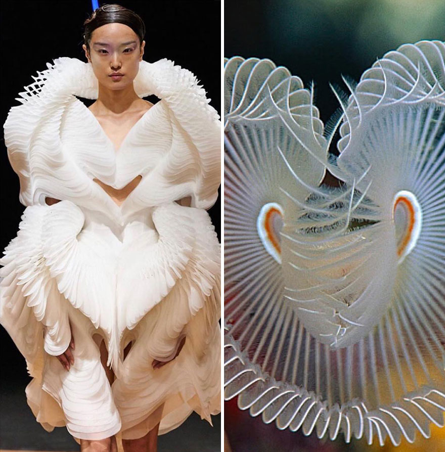 Fashion Often Draws Inspiration From Nature And This Instagram Account Proves It (28 New Pics )