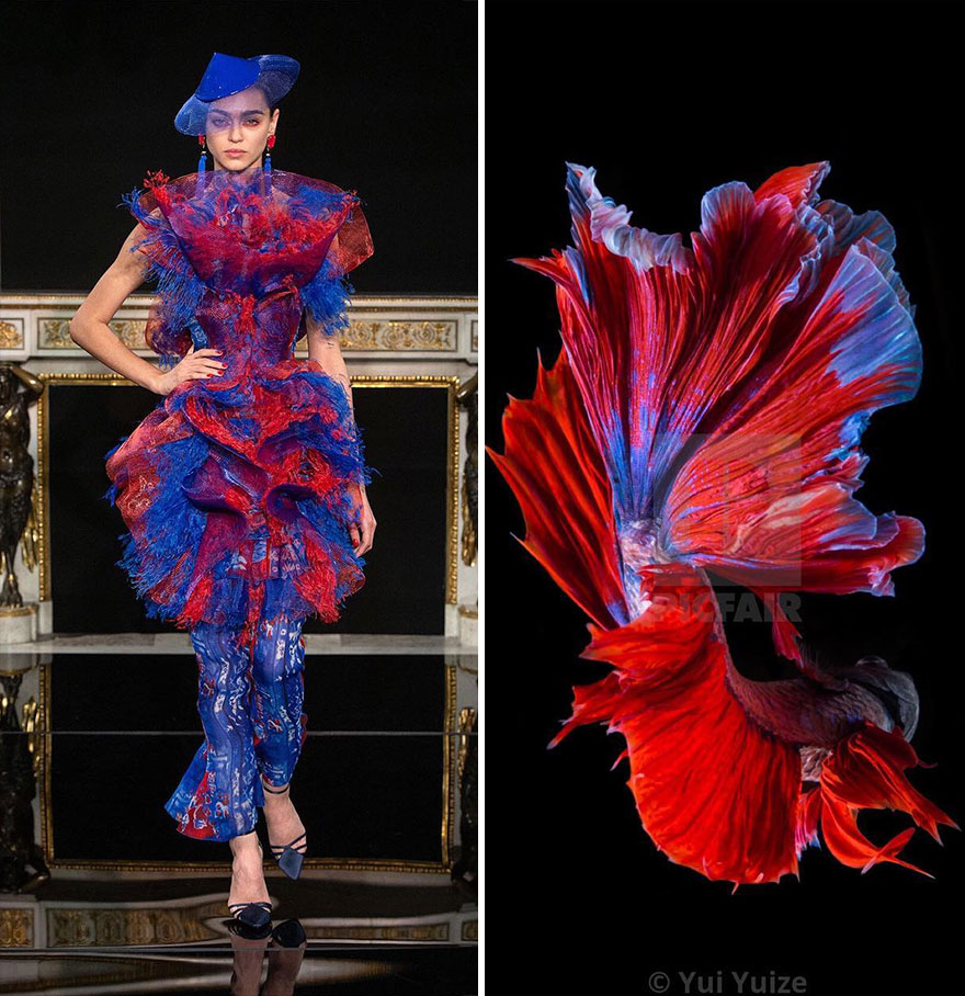 Fashion Often Draws Inspiration From Nature And This Instagram Account Proves It (28 New Pics )