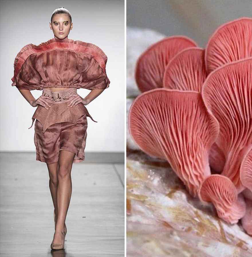 Fashion Often Draws Inspiration From Nature And This Instagram Account Proves It (28 New Pics )