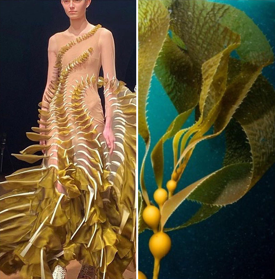 Fashion Often Draws Inspiration From Nature And This Instagram Account Proves It (28 New Pics )