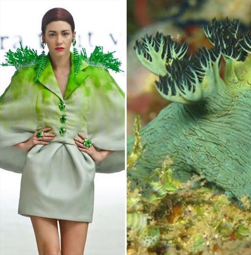Fashion Often Draws Inspiration From Nature And This Instagram Account Proves It (28 New Pics )