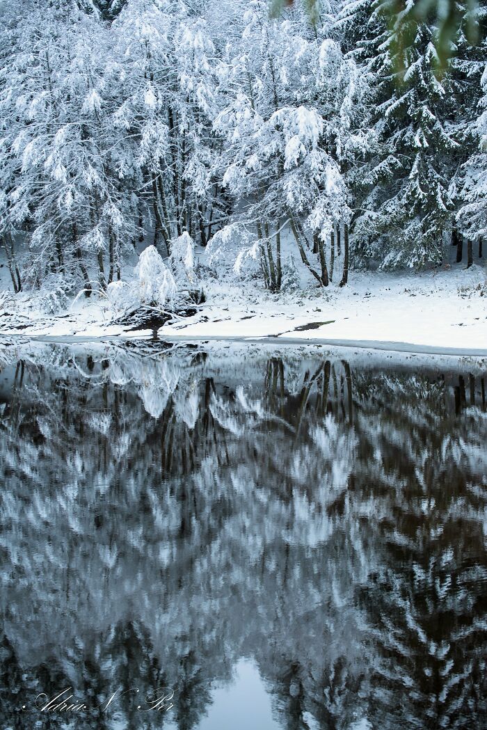 I Captured Frosty Autumn