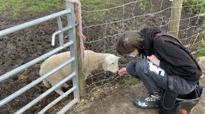 Not My Pet But This Is Marshmallow, She’s An Adult But Never Grew Bigger Than A Lamb, She’s Tiny!