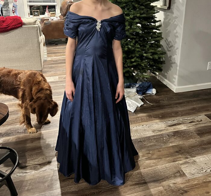 My Winter Formal Dress, 2023 (Excuse My Dog)