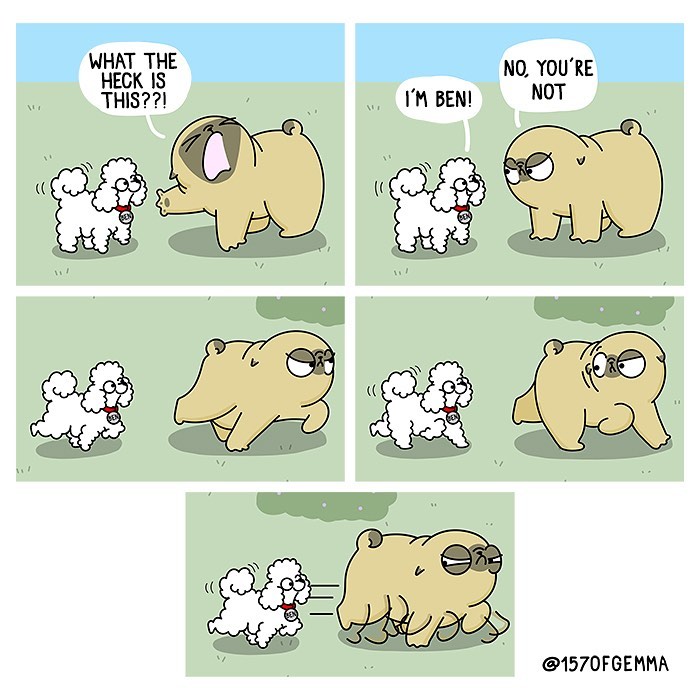 How It Looks To Live With A Dog Perfectly Captured In Hilarious Comics (New Pics)