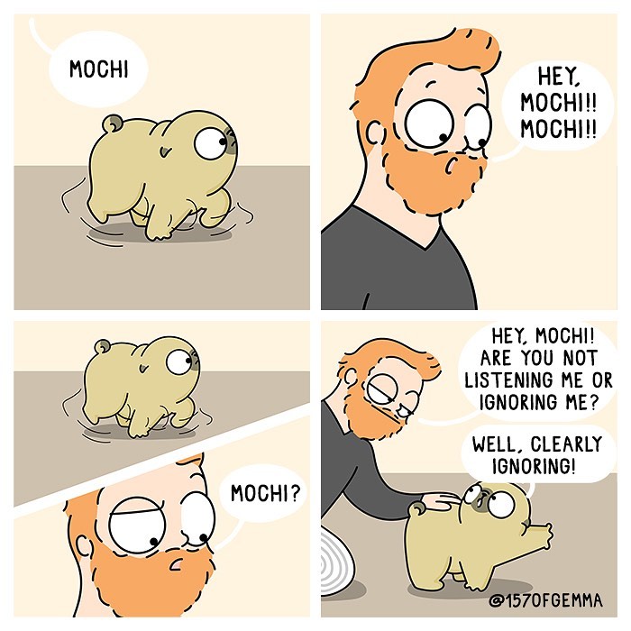 How It Looks To Live With A Dog Perfectly Captured In Hilarious Comics (New Pics)