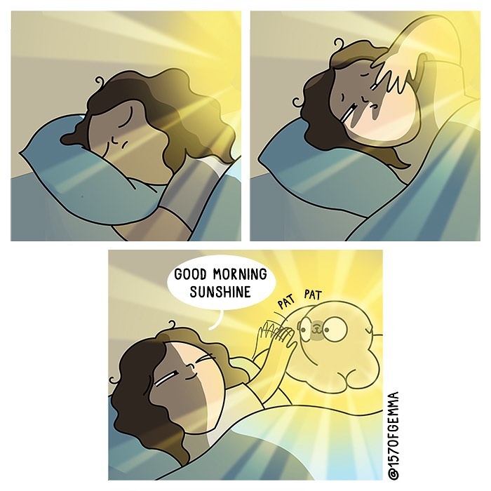 How It Looks To Live With A Dog Perfectly Captured In Hilarious Comics (New Pics)