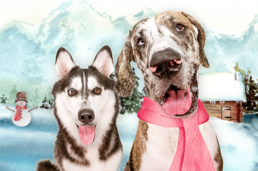 January: Bentley & Moose