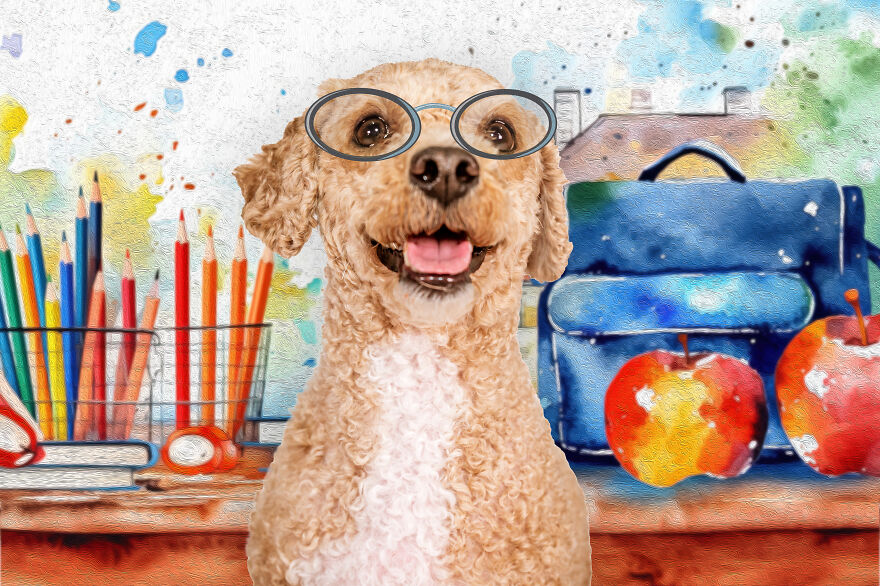 August: Charlie Chap