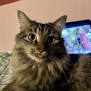 leonardmaier3 avatar