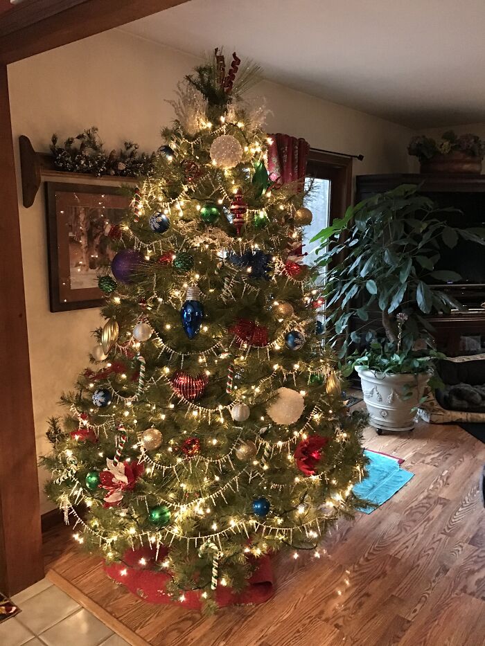 Christmas Trees Always Make Me Smile!