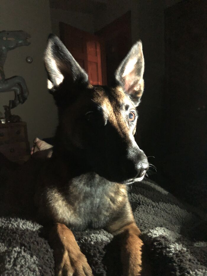 Kilo Actually Being Still Accidental Renaissance Photo, No Editing