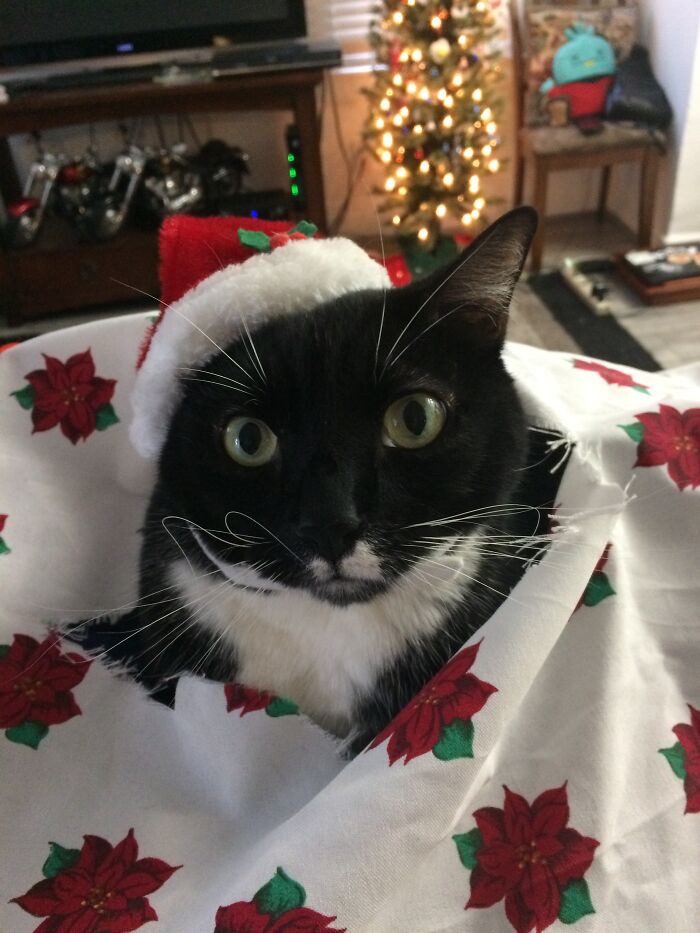 Morgan Claws Is Coming To Town!