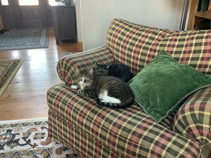 Chillin With My Homie