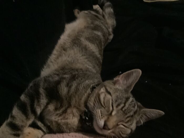 Why Is There Just A Hunk Of Bread On The Floor?