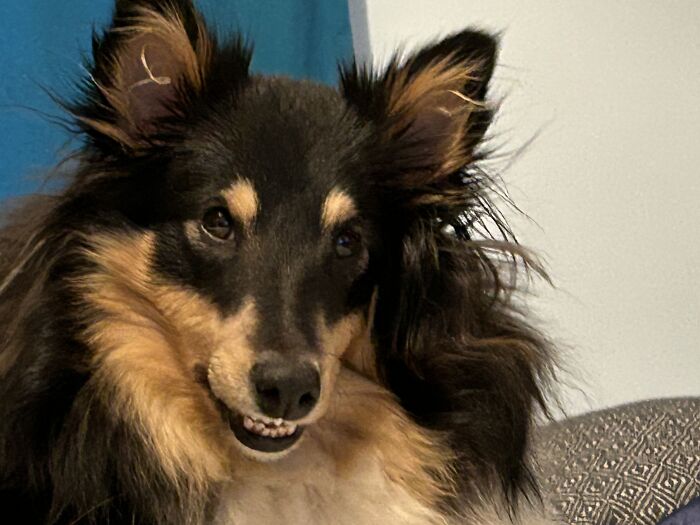 Aiko Smiling Like She Is Plotting World-Dominion