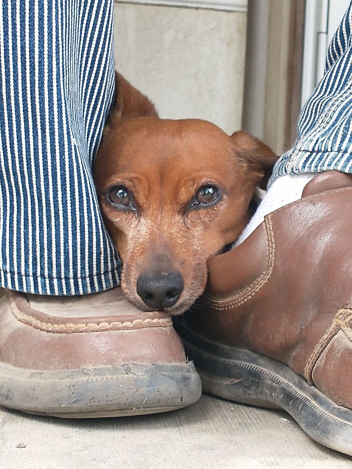 She Found A Friend And Got Curiously Sleepy After A Few Minutes