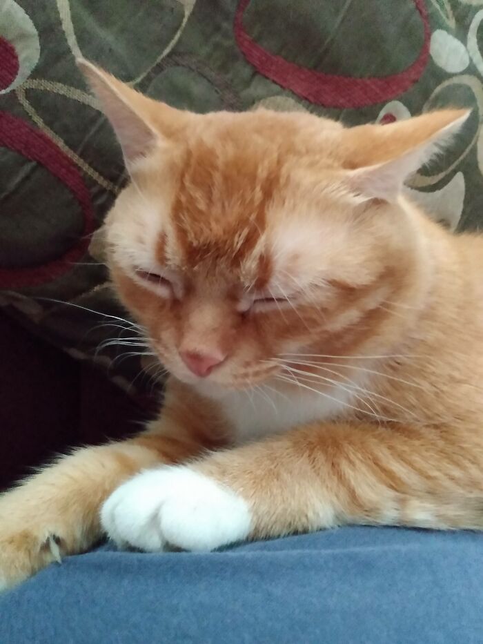 Magnificent Murray Losing The Battle