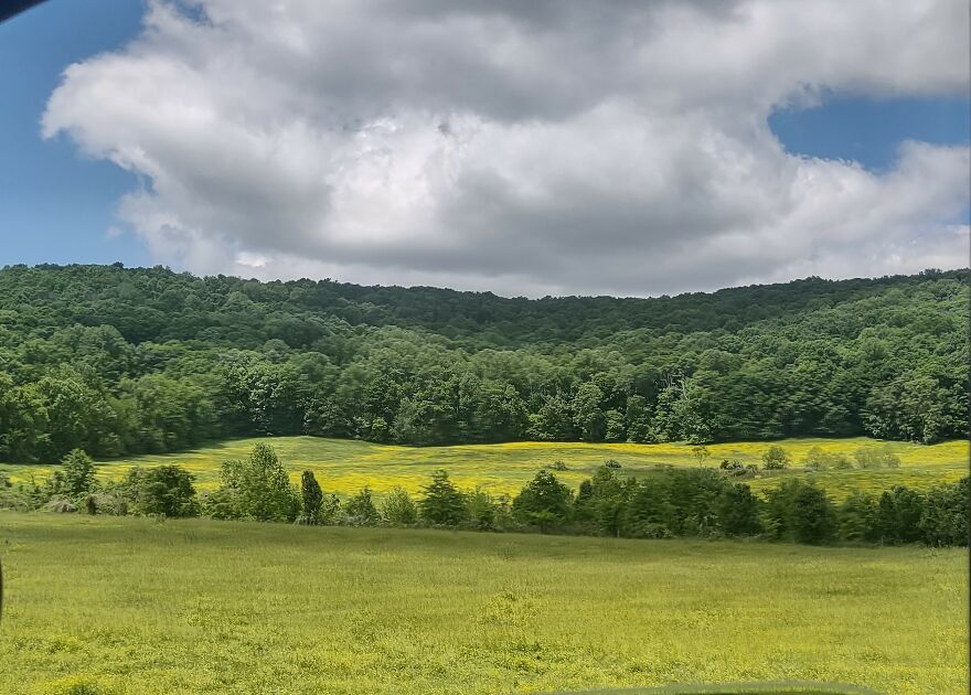 When Boredom Meets Imagination