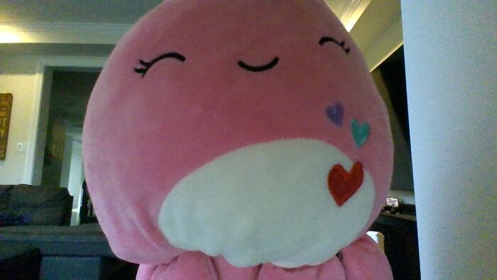 This Octopus I Got One Year Ago