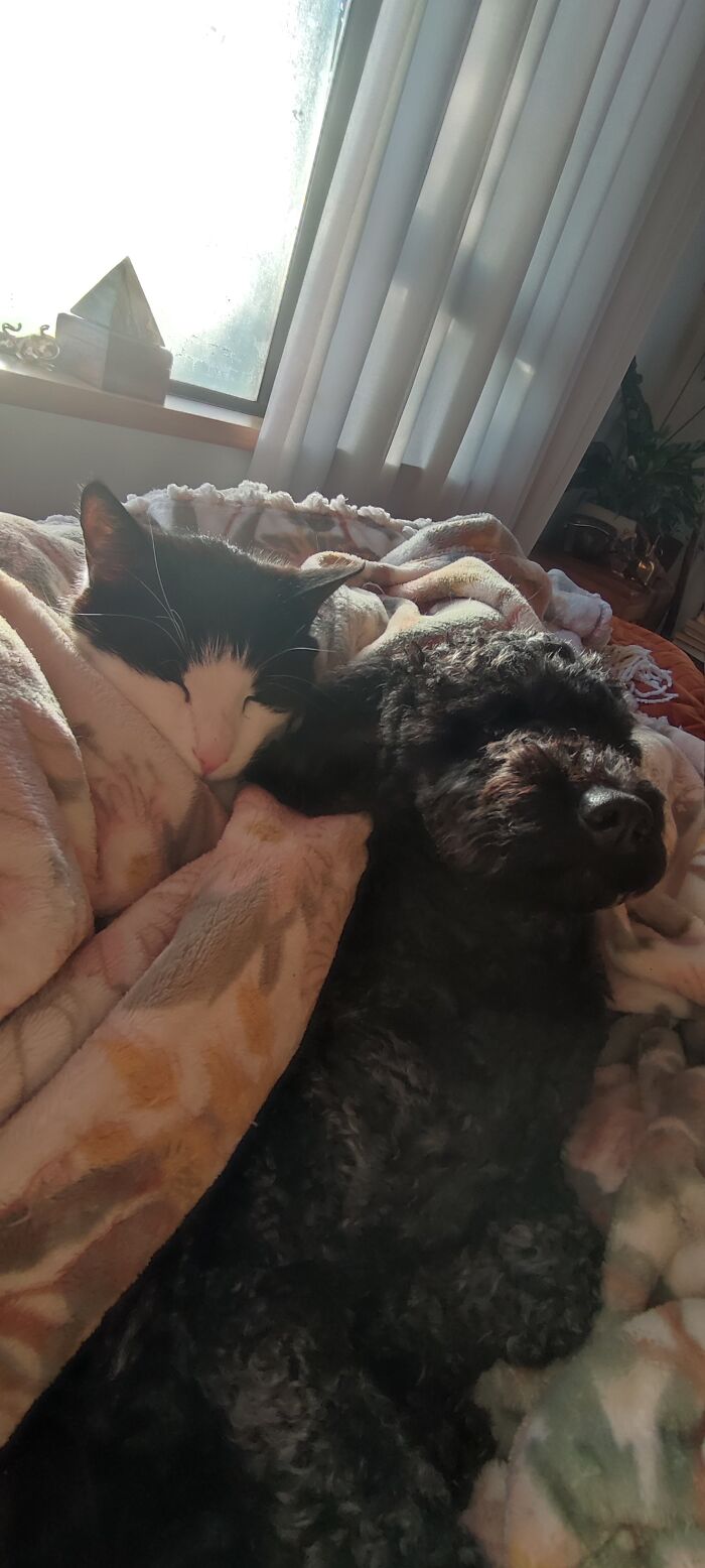 All Wrapped Up On A Misty Morning :)