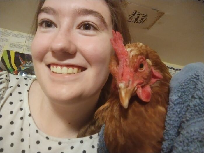 I'm So Happy I Grew Up With Chickens, Here Is My Story I'm So Happy I Grew Up With Chickens, Here Is My Story