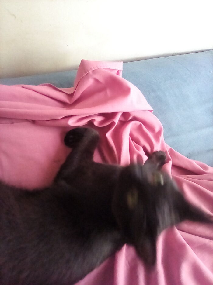 Charlie Helping Me Make My Bed :)