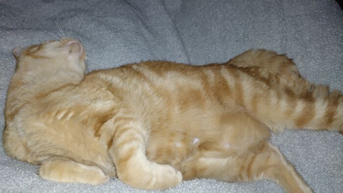 Waiting For His Turn With The Brain Cell