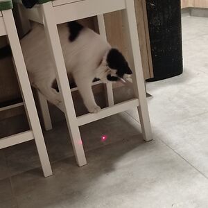 mariataliadorou avatar