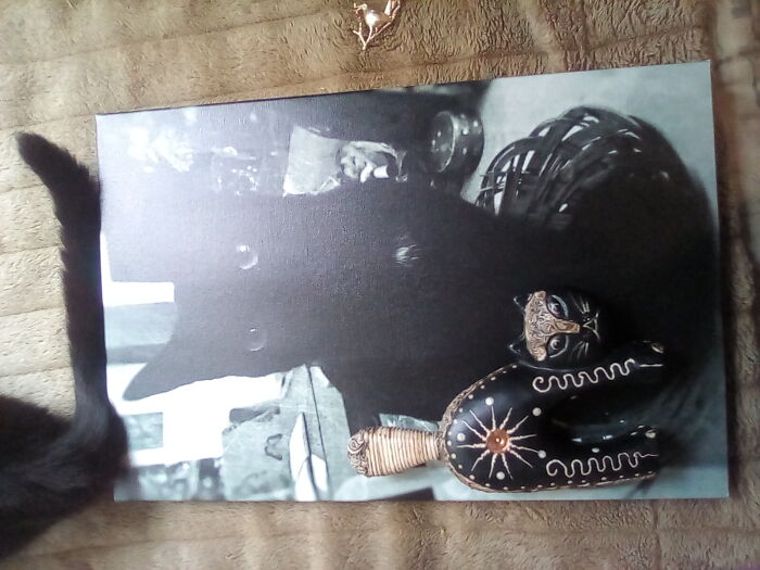 A Picture Of My Cat And Some Cat Statue Things!