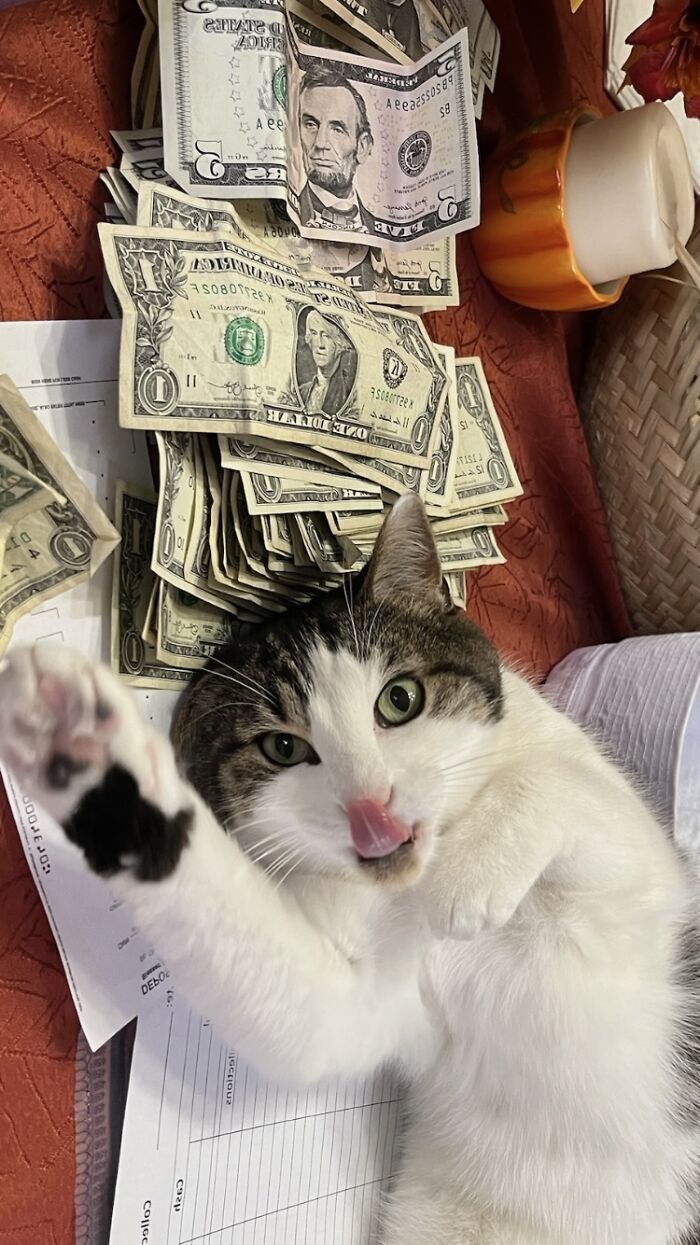 Walter Catechist Counting The Sunday Collection