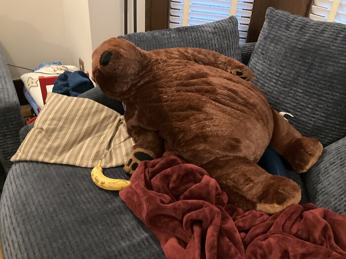 IKEA Bear I Got (Banana For Scale)