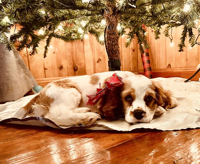 Best Gift Ever! Say Hi To Mabel