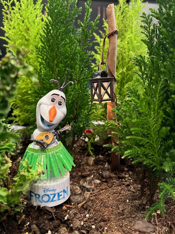 My Sister Just Gave Me The Perfect Thing For My Indoor Forest!