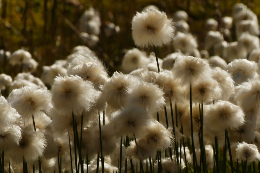 40 Photos Of Iceland That I Took In Summer 2020