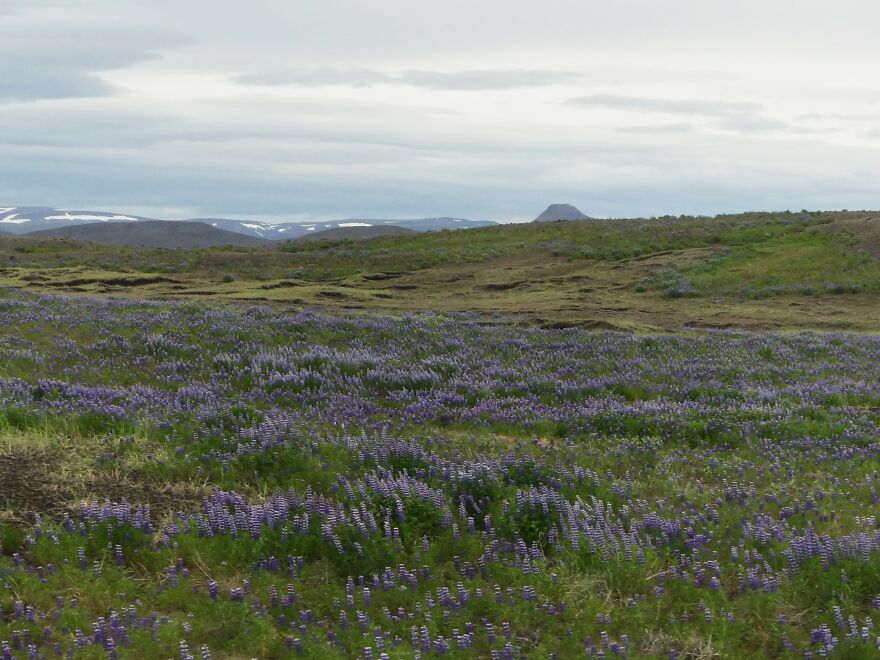 40 Photos Of Iceland That I Took In Summer 2020