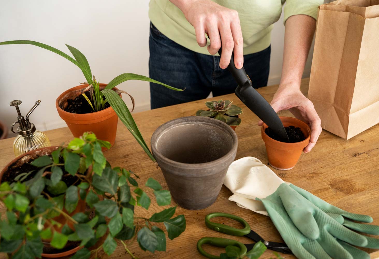 Person transplanting plants into new pots Person transplanting plants into new pots