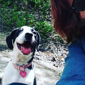 micheleburdetteelmore avatar