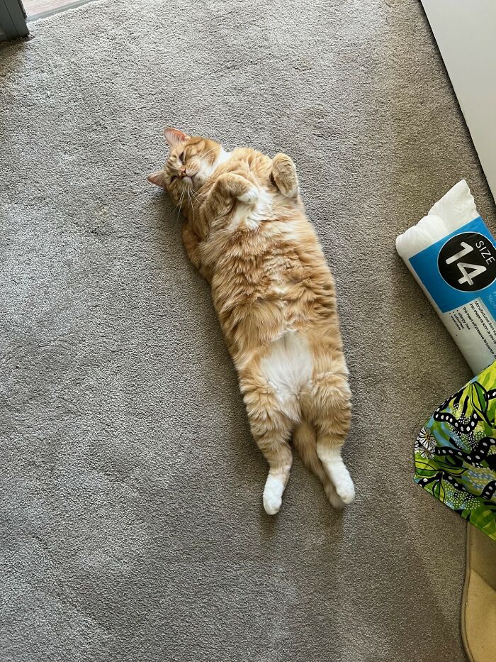 Mama Pyjamas Enjoying A Doze