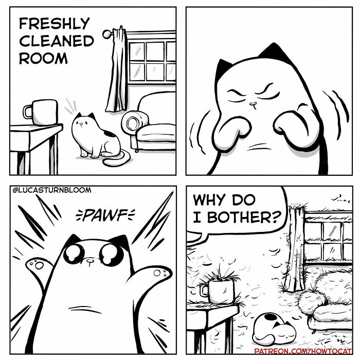 Black and white relatable cat comic illustrating a cat ruining a freshly cleaned room with playful chaos.