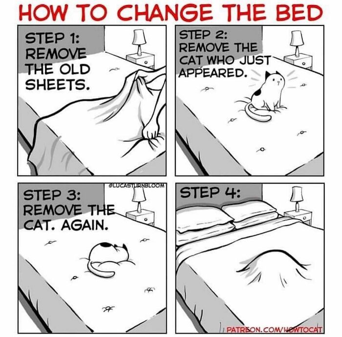 Comic illustrating relatable cat behavior while changing bed sheets in a humorous cat owner’s daily life situation.