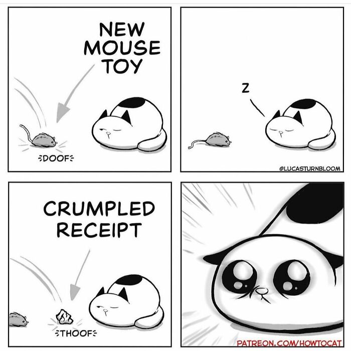 Comic showing a cat ignoring a new mouse toy but suddenly interested in a crumpled receipt, relatable cat behavior illustration.