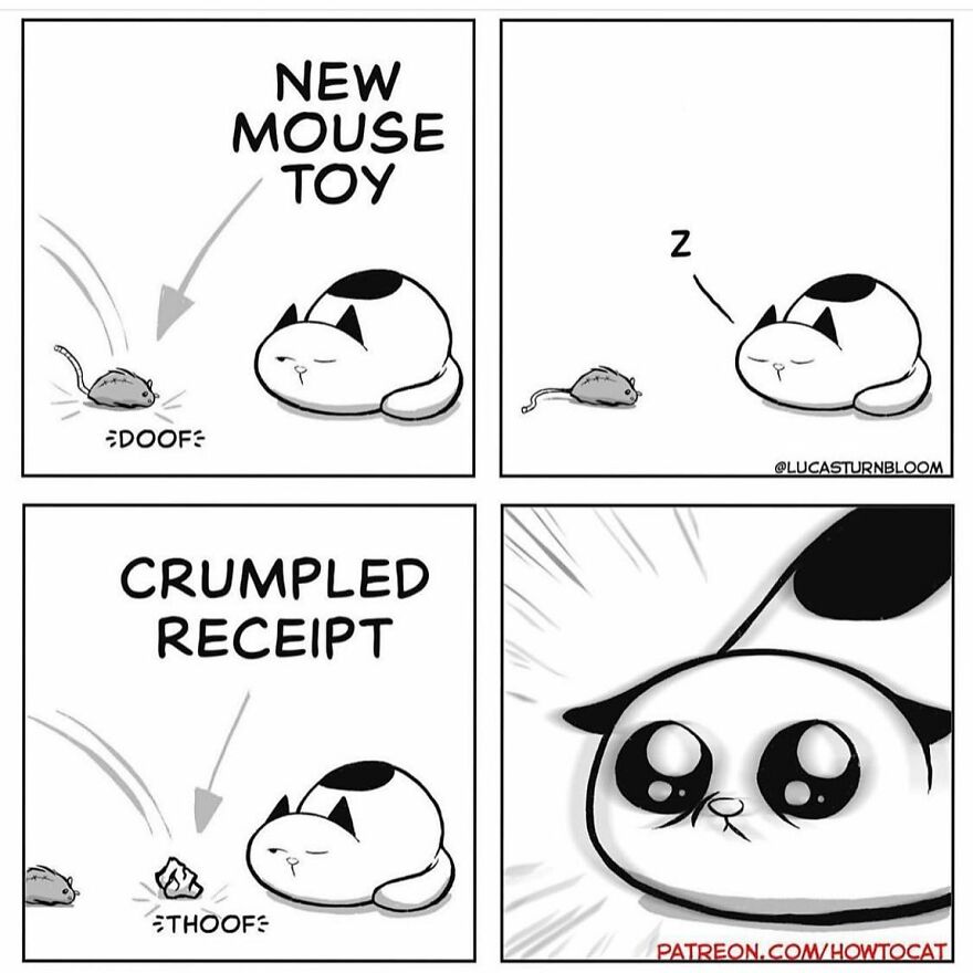 New Comics Illustrating The Funny Life Of A Kitten Who Found A New Home