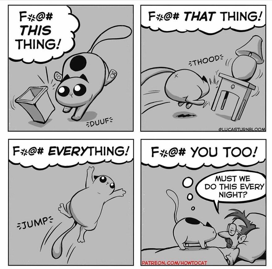 New Comics Illustrating The Funny Life Of A Kitten Who Found A New Home