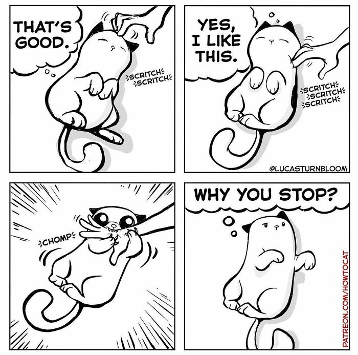 Comic panels showing a cat enjoying being scratched, then suddenly biting and wondering why the scratching stopped, relatable cat comic.