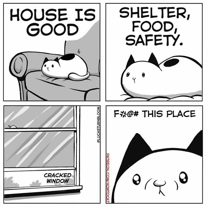 New Comics Illustrating The Funny Life Of A Kitten Who Found A New Home