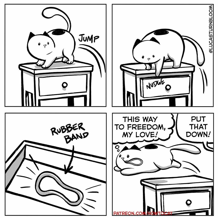 New Comics Illustrating The Funny Life Of A Kitten Who Found A New Home