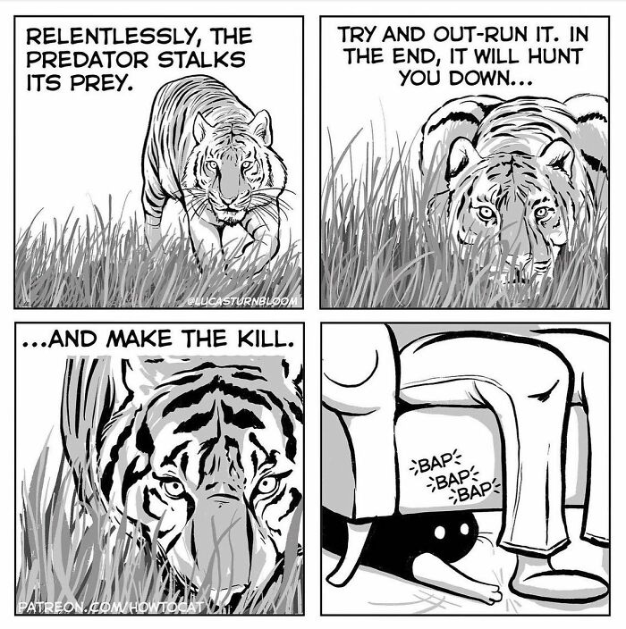 Comic depicting a stalking tiger as a metaphor for a cat playfully hunting under a couch in relatable cat comics.