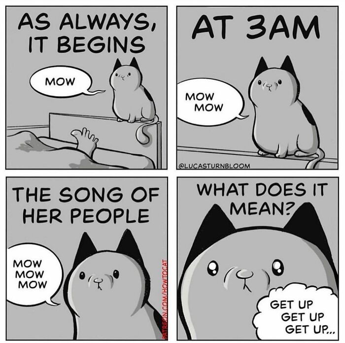 Black and white comic featuring a cat making noises at 3AM, a relatable comic about cats by the artist.